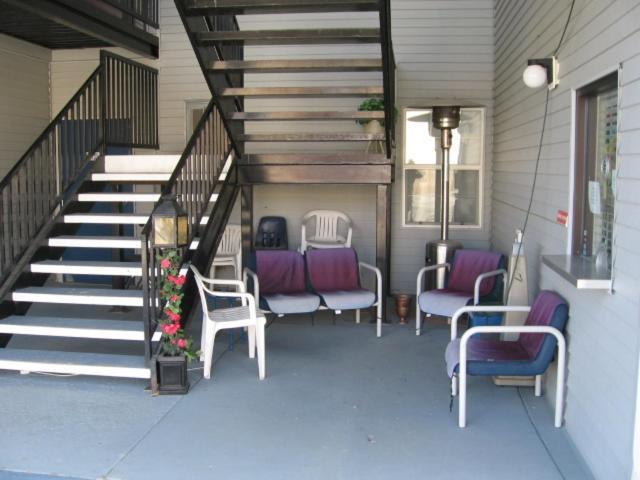 Motel Little Bear